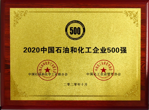 2020中国石油和化工企业500强.JPG